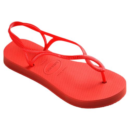 1256-ۺ 33/34 ЬHavaianas    89Ԫ