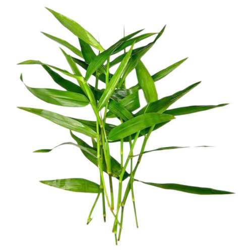 ֲװ1ˮݹ̶רá ˮ쾰ר2.51Ԫ