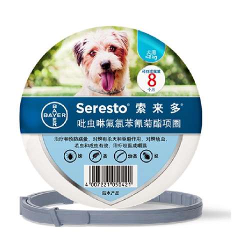 ������¹�����Ȯ��������Ȧ1��