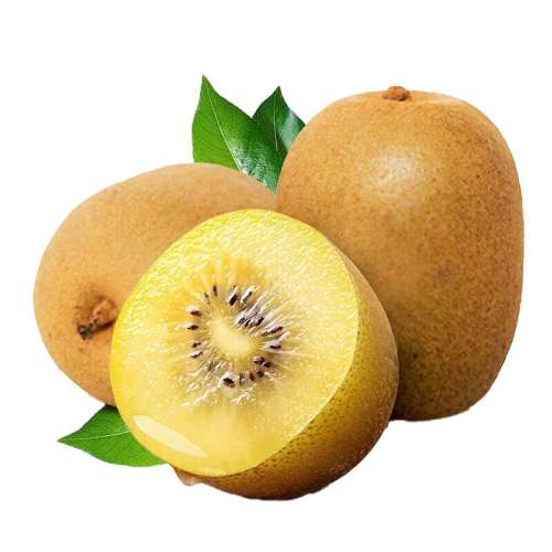 ˳Ĵֽ⨺ʰժ 