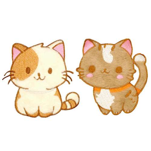 1# ���ַ�1ö��+��͸���� ��͸��fastsoë�޲����ɰ���ͨʵ��9.5Ԫ