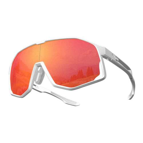 �Դ����� ����ѣ�Σ���С���Ρ�254.91Ԫ