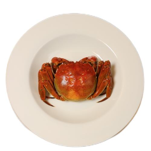 17꽭10ֻբзʻзйٷ콢ȫĸзз ȫĸз2.0-2.38ֻ