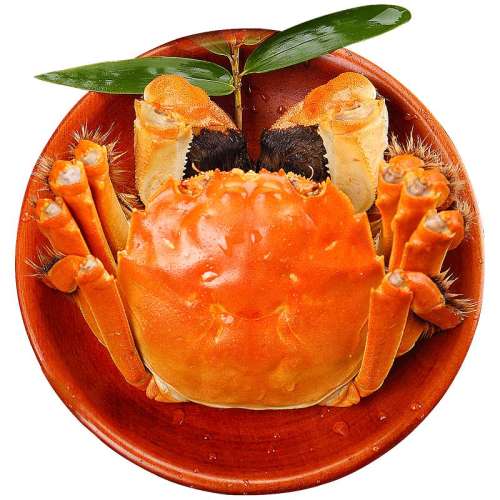 0 3 зբзȯҺŹȫĸз3.08ֻ