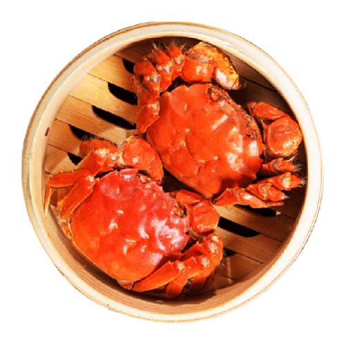 зشȫĸբззʻʺзྫƷ 2.0-2.38ֻȫĸз