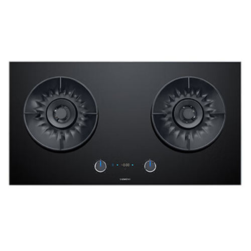 ER92X8NBMP 5.2KW ɫ Ȼ Ʒ5.2KWǿؼʱȼ