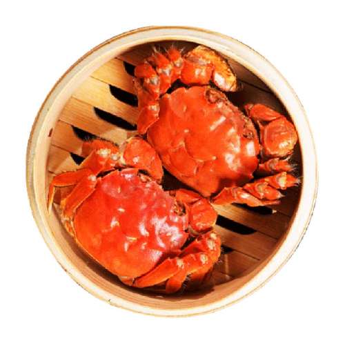 зվƷȫĸբззشʻʺзз ͥѡ2.0-2.310ֻ