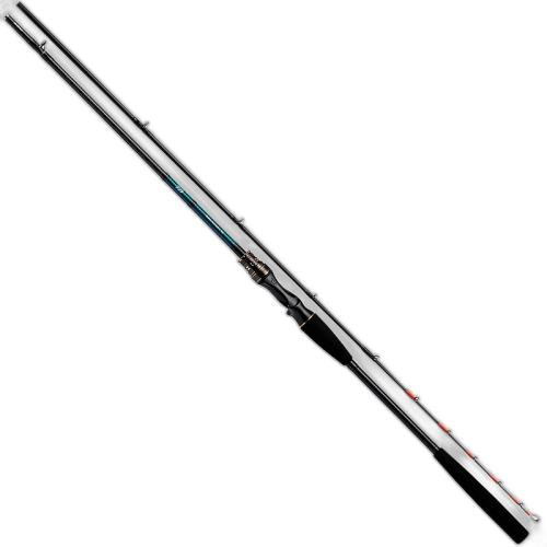  ͨ ձֱDaiwaߴTenya Tachiuo X 200?R 2020ͺ