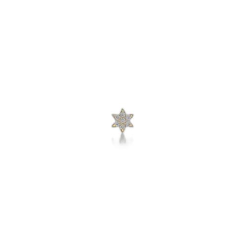ͼƬɫ  ձֱճ Star Jewelry K10ʯϸ¶ƽ