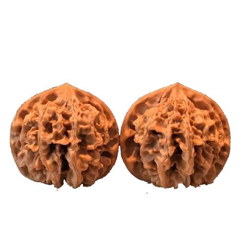 ʨ��ͷ36-42mmһ�ԣ��������飩����������һ�� Ұ����������������������ƹ�ñ����¥��ʨ�ӻ�ͷ��׮��ѡƷ���