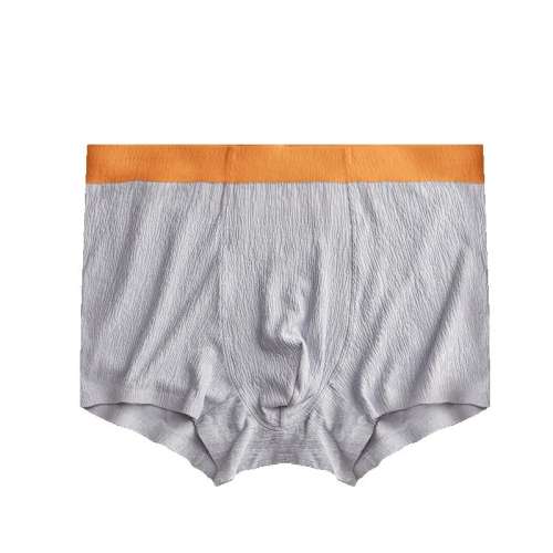 L /ɫ M.D.P.ʿƽڿ־