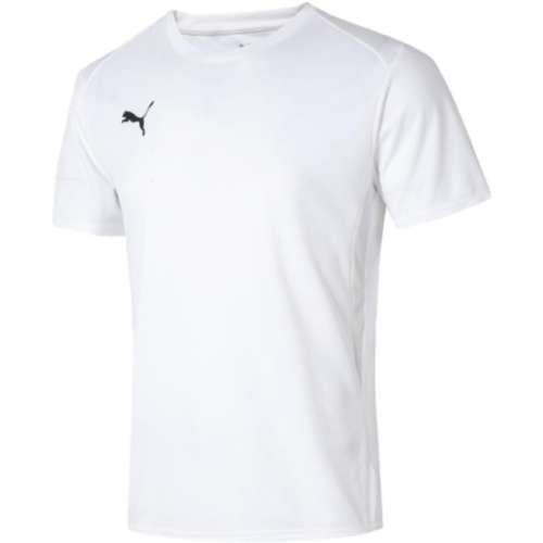 658636-04 XS ӪPumaTװԼ˶ѵʶ