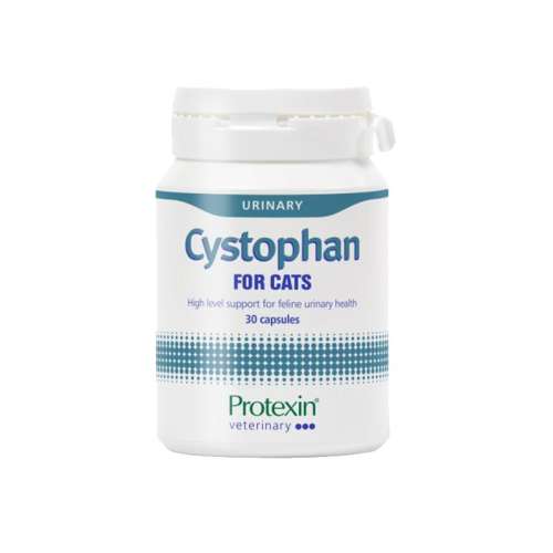 Cystophanɳ˹ҡҳԽµŻݡϰװ 30 ɳ˹è