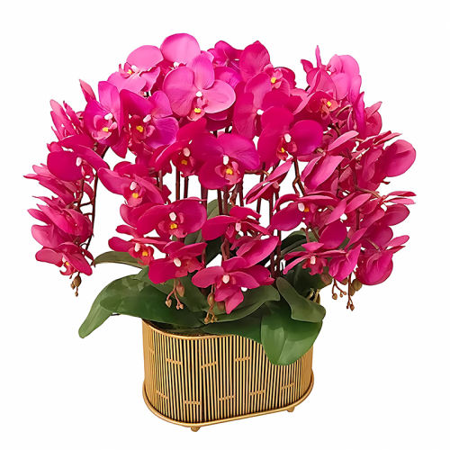 ר̦޺2 Сϴļ7.02Ԫ