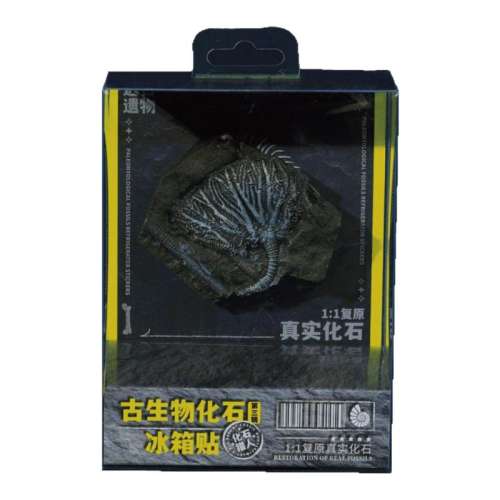 �������������һ��.�͸����� ƥŵ���Ų�����Ĵ������������ﻯʯ����װ�θ��Ŵ�������һ��