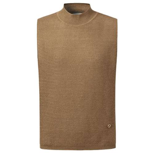 ǳ��ɫ S VGRASS����С����Basic���鱳��