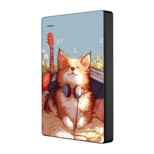 1TB ����� ϣ���ƶ�Ӳ����Ӵ洢����������