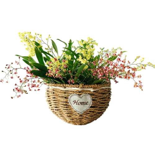 4~6-ɫ 2.8 滨ܻڳζ41.26Ԫ2(20.63Ԫ/)