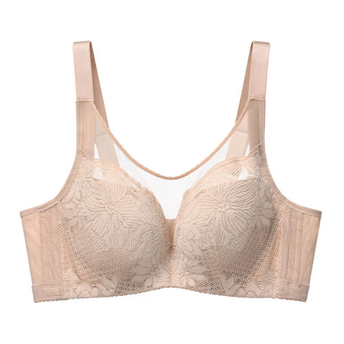 �߼������� 75B �Ž�����Ů͸��B-D��������С����2025�¿��ո���Ĩ������