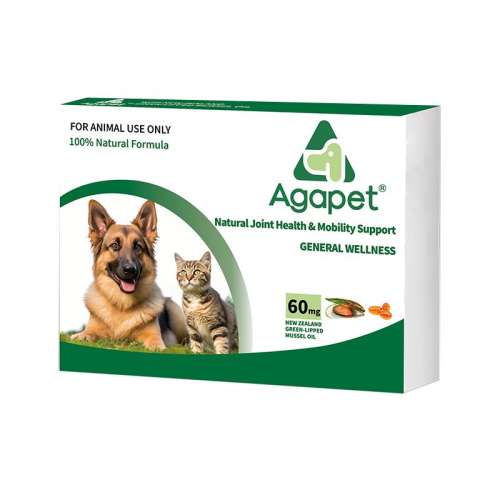 ۻ㣺Agapetݱ 60/ Agapetߴݱèؽ