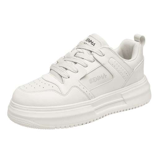 ɫ 39 SENMA/ɭٷ콢аЬ