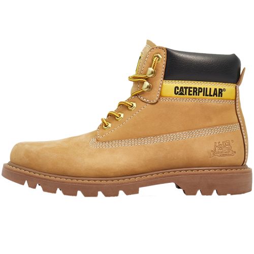 ɫ 39 CAT25ﶬƷʿѥװѥɽЬ̳ͬ