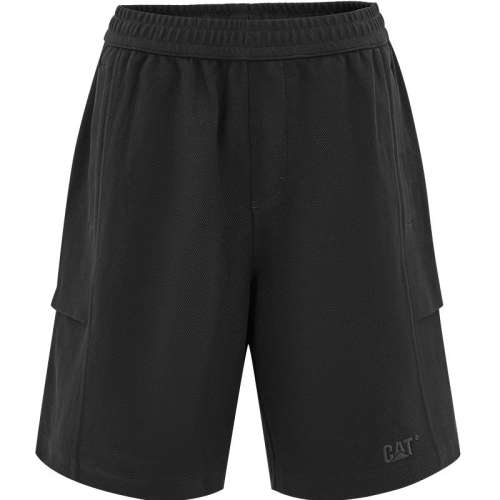 ��ɫ S CAT����25�ļ���Ʒ��ʿ���������˶���������Χ���ʹ�װ�̿�