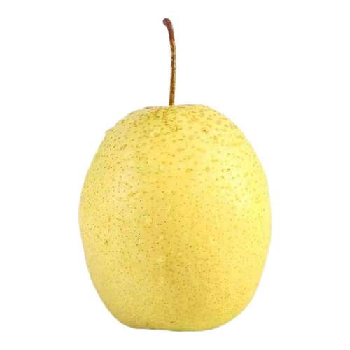 ���ںӱ�ѩ������ѩ����Ӧ��ˮ������ѩ������������������ɽ�� 1.2�� С��