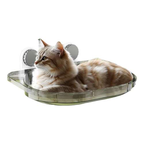 ;ڵ_ɫļȫճ èɹ̫ϴ 38.98Ԫ