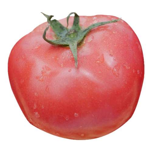 *췬 20/ ëļ 4.25Ԫ