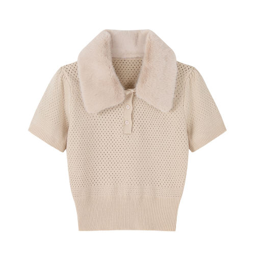 ɫ  F PROJECTԪӢѧ*fen*dɲжˮëοն֯Ů 160.65Ԫ