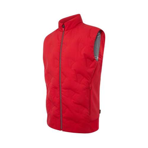  M רҵ߶HONMAʿдɫƴưٴů 599.25Ԫ