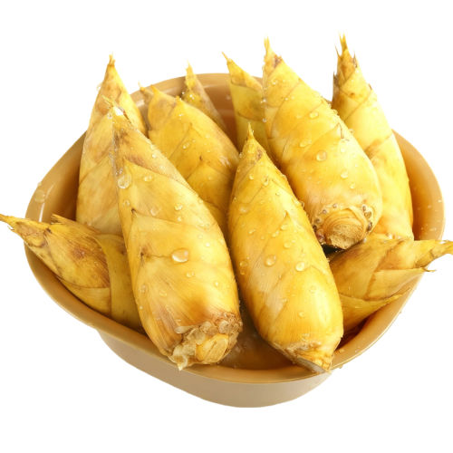 㽭ٰʶ߲Ұ5 3СС/1-3ѿͷ 35.92Ԫ