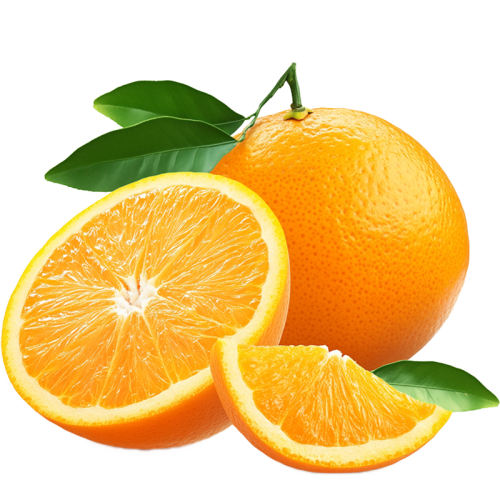 ڸȾƷʵˮְӸȴ 4.5 60-70mm 11.9Ԫ