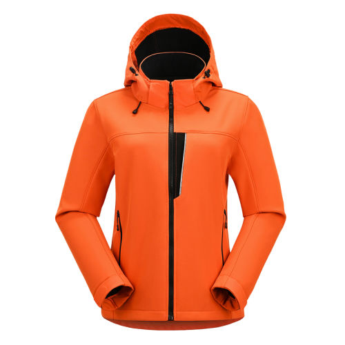 ǳ S ڱŮޱůĥ 259Ԫ