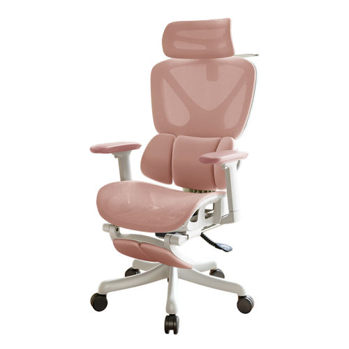 ڻ W599 pro |  |?ļ |?޽̤ | һɷ  ת Ҳ15%Ů幤ѧ 267.75Ԫ()