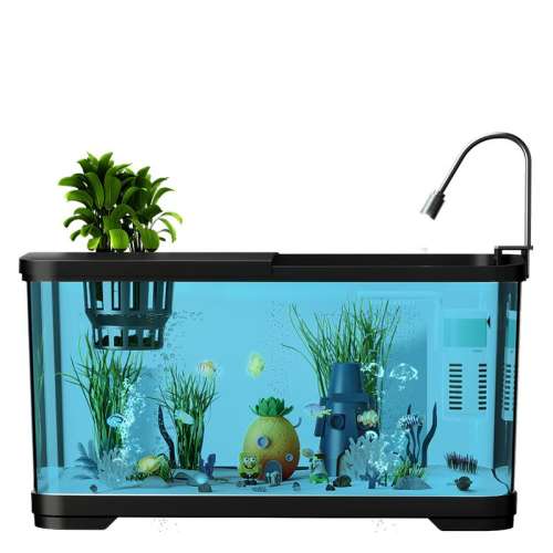 ޽ס͸ǰ嶨ֲ 29x18x14cm 2025¿̬ 25.4Ԫ