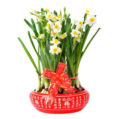 18-20CM ˮ3 ˮɻ򶬼괺ڻ 8.68Ԫ