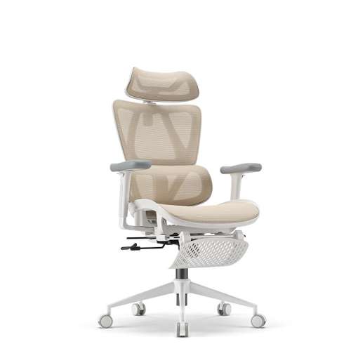 ɴס8鶯+4D+6ͷ ƽ ת ֿLadyŮμð칫 611.76Ԫ()