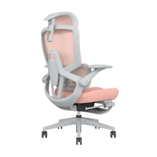 īڣ׼棩4DϷ+4D޽̤ ߳צ ת ENOVAǻۼŮ幤ѧ 548.25Ԫ()