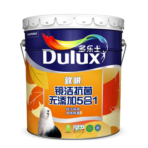 ��A749������ר��ͨ�������ӵ���-5L Լ��Ϳˢ70�O 5L ����ʿ��������˫����ù��������175.95Ԫ(������)