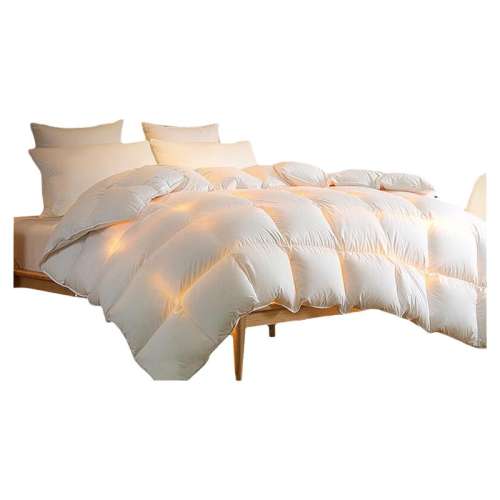 ۻ㣺150*200cm1600G ɫ ӡƷ׶ë˿ӱо