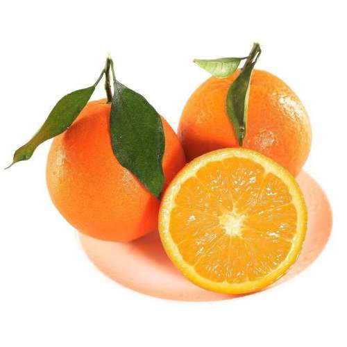 ԴںĲե֭רòְȹ԰ 5 䡾69-80mm+Ȼ̬/91 15.72Ԫ