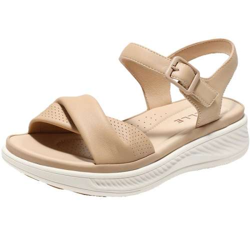 װ 34 ЬŮ2025ļ¿Ьӿ⴩ЬD6N2DBL5 1195.05Ԫ3(398.35Ԫ/88VIP 95)