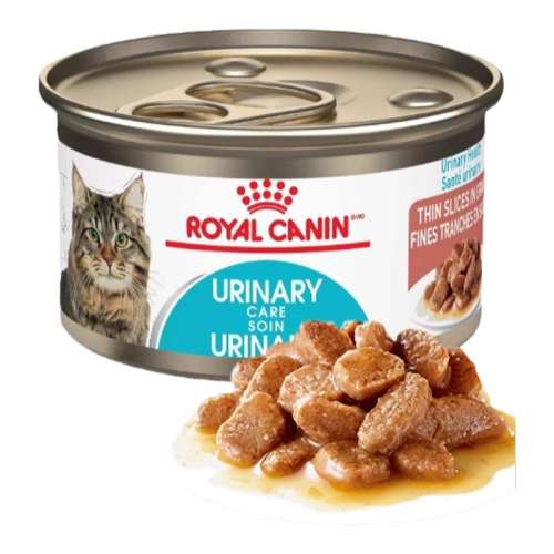 (12¡èǻʪͷ 85g)*7 ʼҳèǻèͷ 132Ԫ