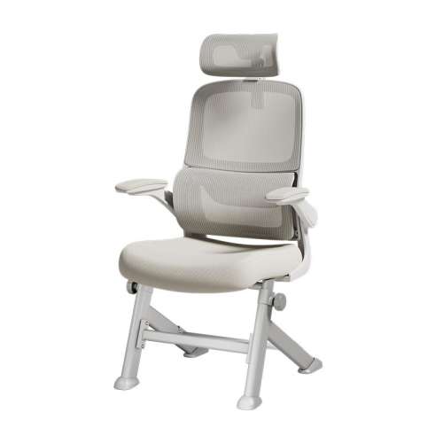 ڲP1Proҡ֧ ε ̶νš ڰ׵P1Proѧϰ 539.75Ԫ()