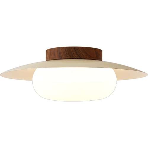 ڲRa95ԭľ35cm/ɫֶ/24W 뻧̨ȹƾ 119.85Ԫ()