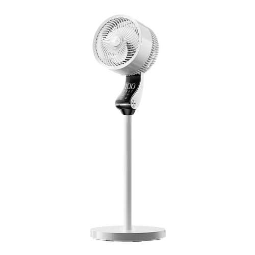 OJAѭȵ2025¿̨ʽ 㡿һ?ʣ20?ȫͼ?治 254.25Ԫ()