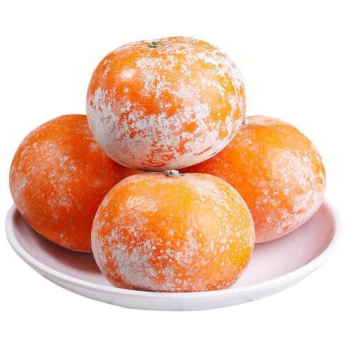 ڹïȸ̵ָˮƤʯҸ 3 й60-65mmحСե֭Ƽ 11.8Ԫ