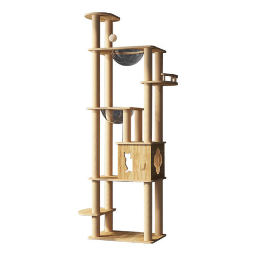 �����Ǳ� è����è��èץ�岻ռ��̫�ղ�135.95Ԫ